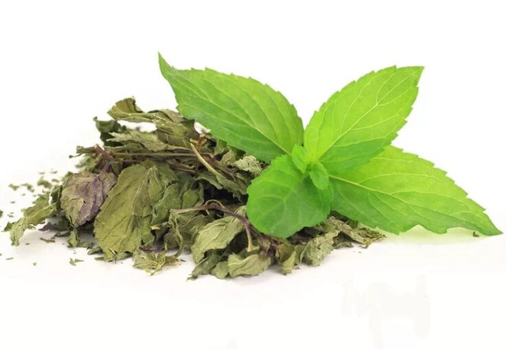 Grüner Tee in Ablim